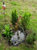 image of grave number 80683